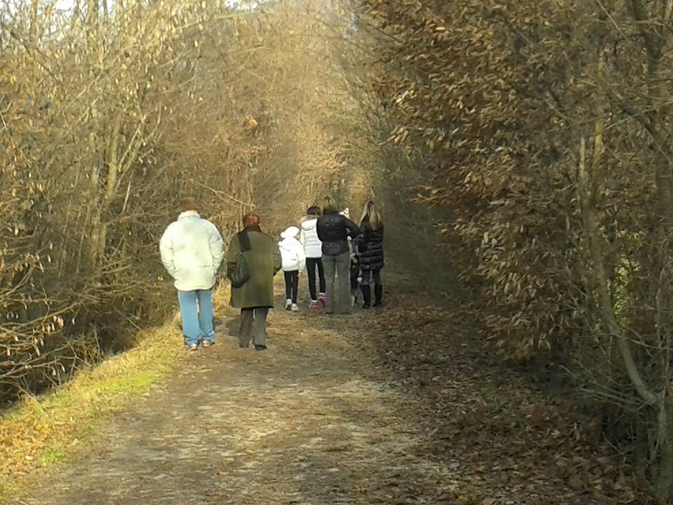 passeggiate dopo le feste