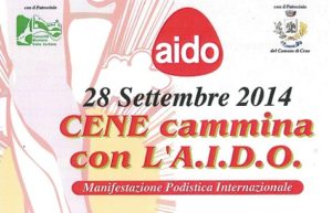 Articolo precedente