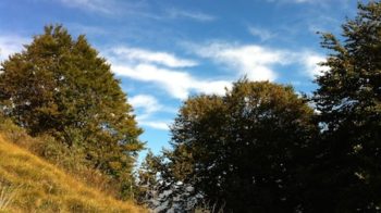 autunno