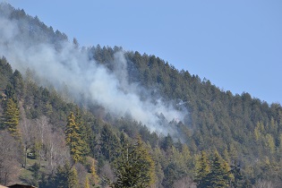 il fronte interessato dall'incendio