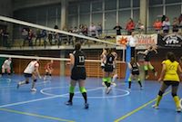 Valle Volley