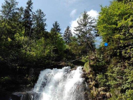 acqua e natura in Val Sanguigno