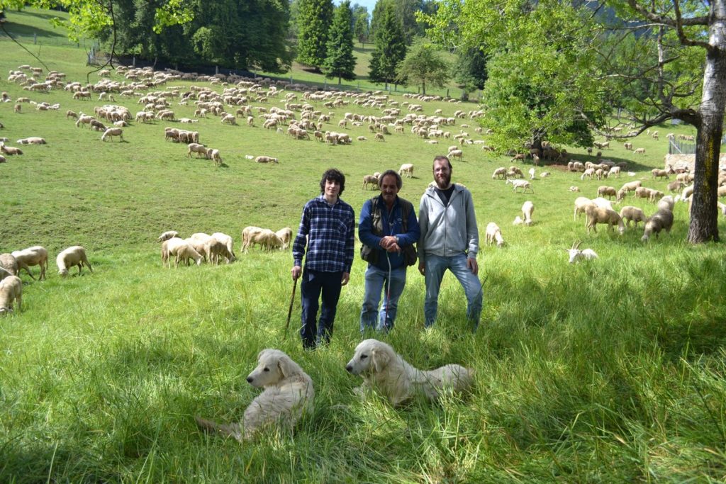 03 Pacati Alessio, Salvi Giuseppe e Adriano Caccia