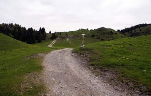 la strada agro silvo pastorale da Peia verso Valpiana 