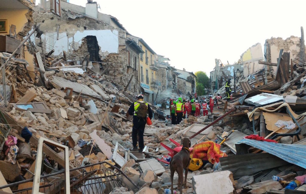 terremoto-amatrice-cani-soccorsi