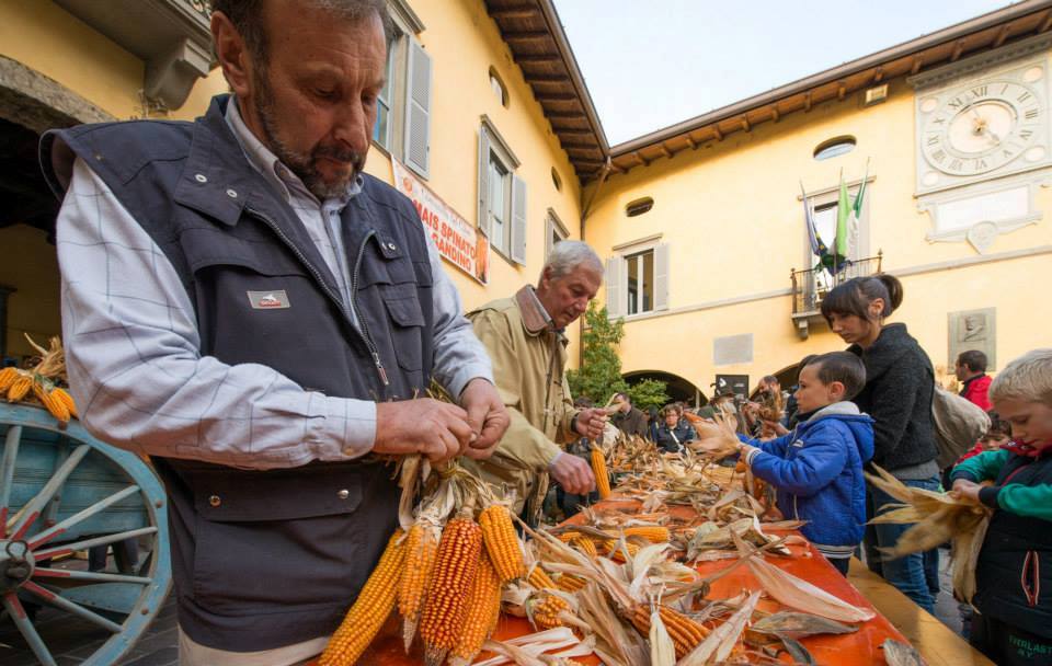 mais-spinato-di-gandino-giorni-del-melgotto-3