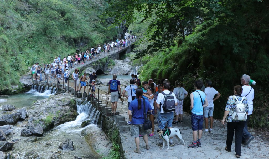 camminata-valvertova-ecologica