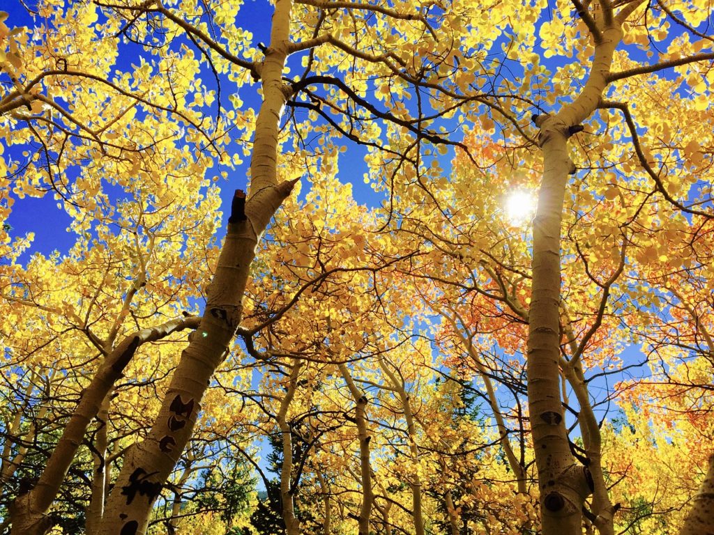 clusone-autunno-valseriana