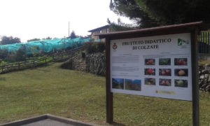 Articolo precedente