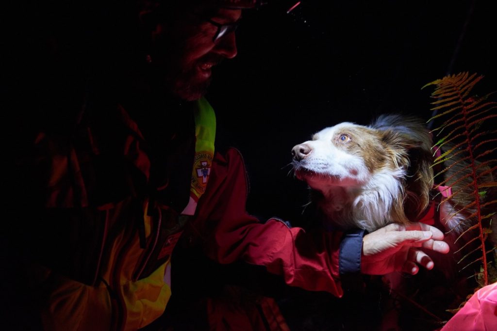 soccorso-alpino-cane