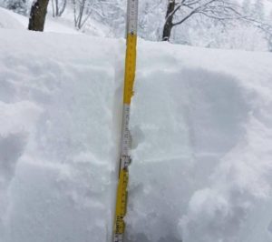 neve-lizzola-carnevale-40-centimetri