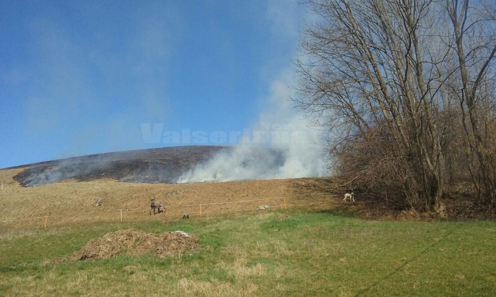 incendio-boschivo-via-lama-clusone-2