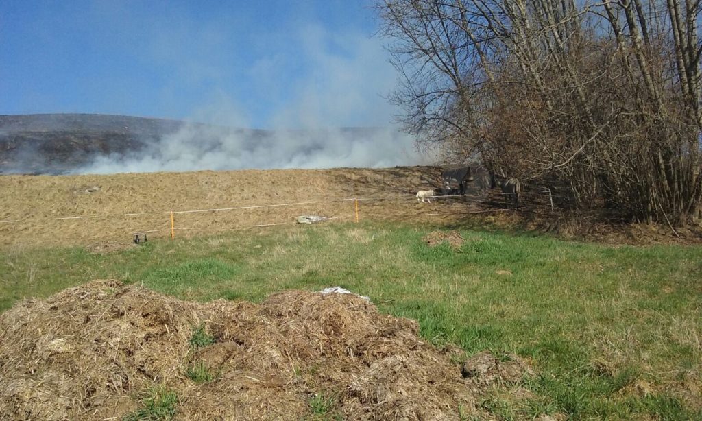 incendio-boschivo-via-lama-clusone-scandella-giovanna-foto2