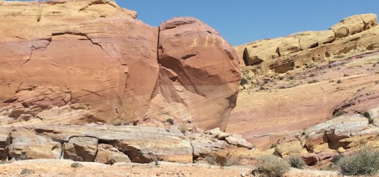 Il primo deserto non si scorda mai, soprattutto se lo si sperimenta in estate Il primo deserto non si scorda mai, soprattutto se lo si sperimenta in estate
