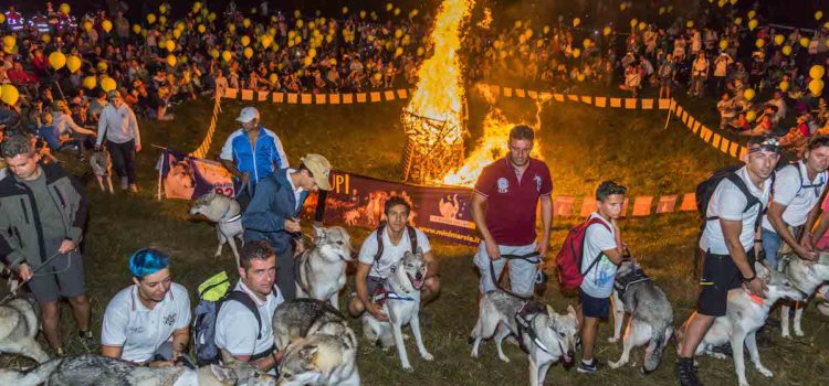 Venerdì 17 agosto “A spasso coi lupi” a Selvino sul Monte Purito Venerdì 17 agosto “A spasso coi lupi” a Selvino sul Monte Purito