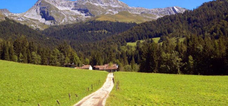 Domenica si cammina in Valzurio Domenica si cammina in Valzurio