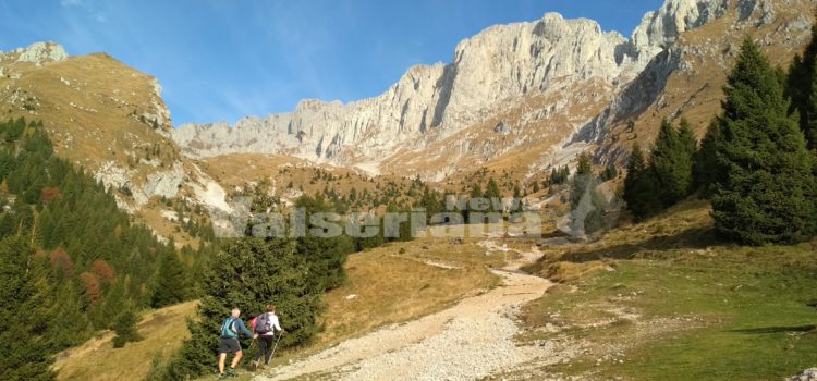 Nuovi percorsi e pacchetti turistici per rilanciare la Valle Seriana e di Scalve, se ne parla sabato a Clusone Nuovi percorsi e pacchetti turistici per rilanciare la Valle Seriana e di Scalve, se ne parla sabato a Clusone