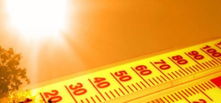 Temperature record, è l’estate più calda degli ultimi 10 anni Temperature record, è l’estate più calda degli ultimi 10 anni
