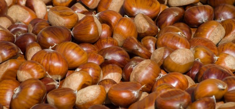 Pradalunga, ancora due weekend dedicati alle castagne con Castanea Pradalunga, ancora due weekend dedicati alle castagne con Castanea