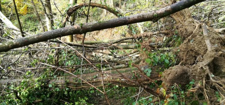 Orezzo – Ganda, la strada resta chiusa per lavori di messa in sicurezza Orezzo – Ganda, la strada resta chiusa per lavori di messa in sicurezza