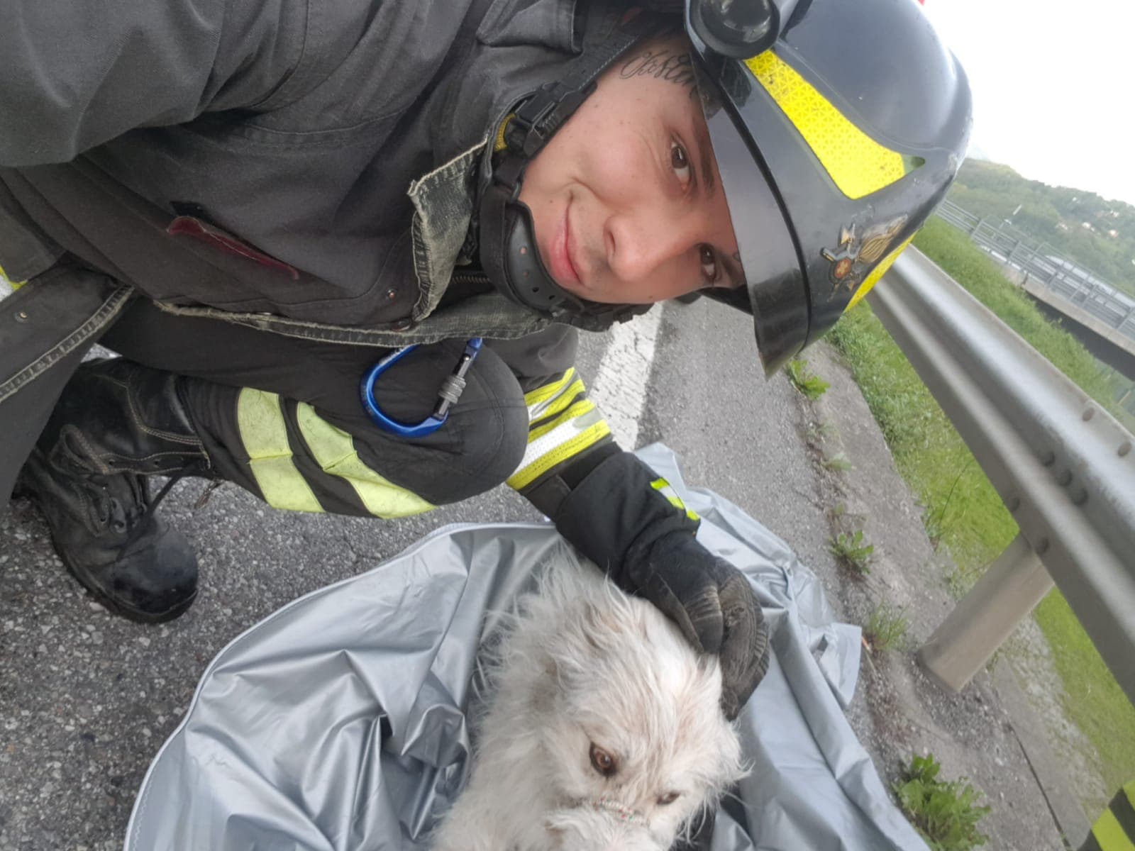 Albino, cane con la zampa rotta nel canale salvato dai vigili del fuoco