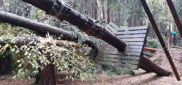 Clusone, pineta nel Parco Avventura devastata dal maltempo – foto e video Clusone, pineta nel Parco Avventura devastata dal maltempo – foto e video