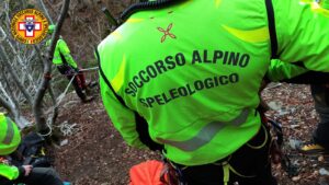 Articolo precedente