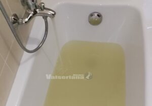 Articolo precedente
