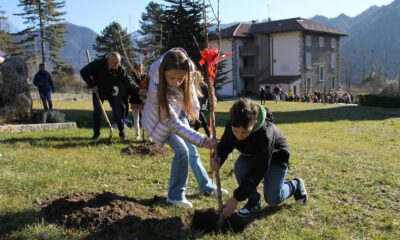 alberi piantati a Castione