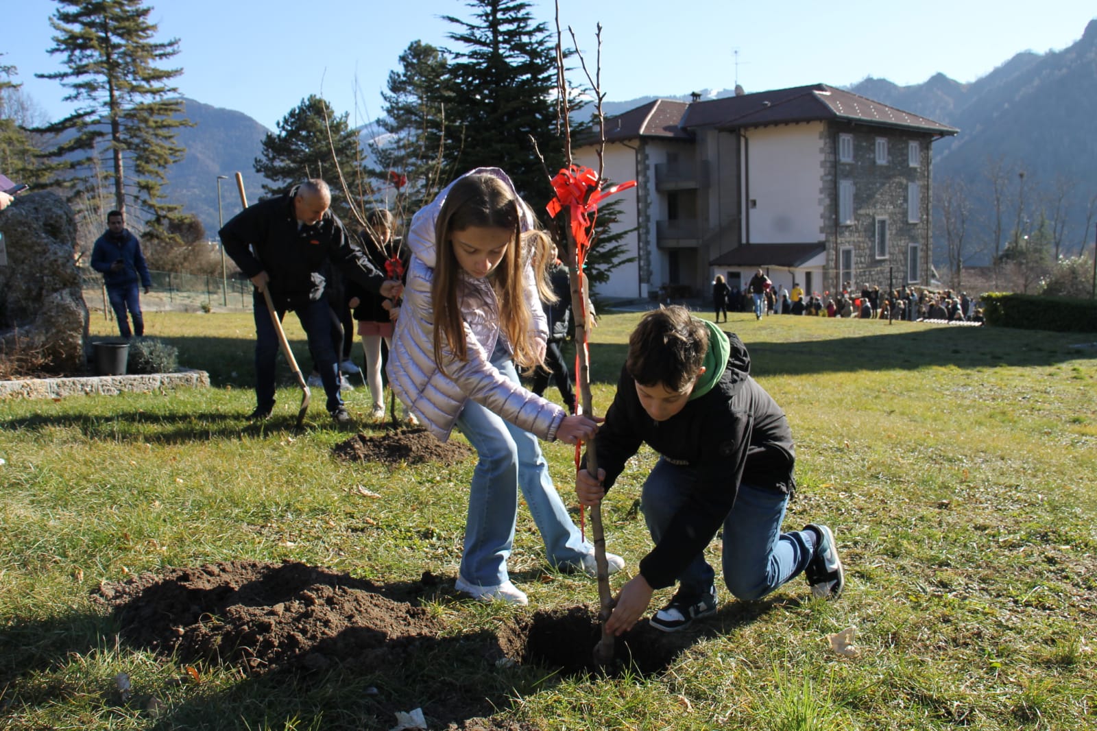 alberi piantati a Castione