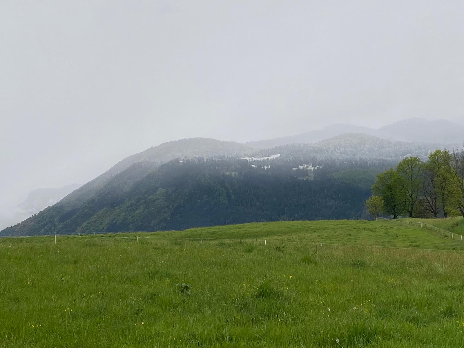 La neve oggi a 1000 metri zona Rifugio San Lucio