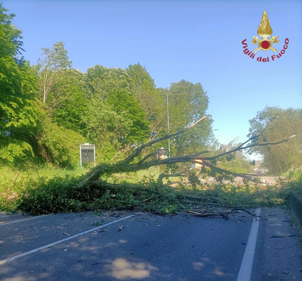 vento forte alberi caduti bergamo