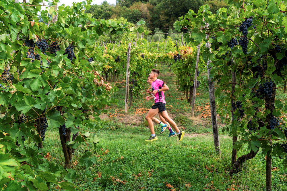 moscato di scanzo trail