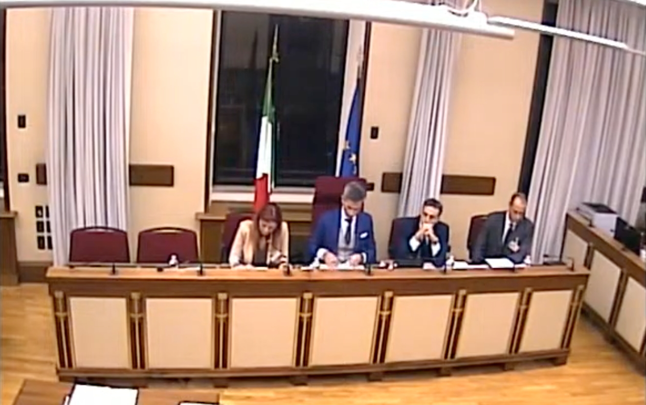 audizione commissione covid