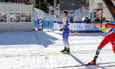 matli schilpario