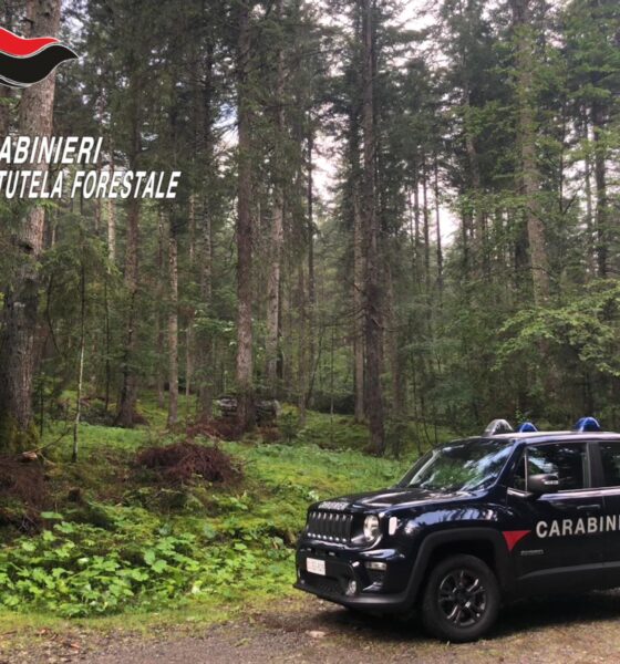 Nucleo Carabinieri Forestali VILMINORE DI SCALVE