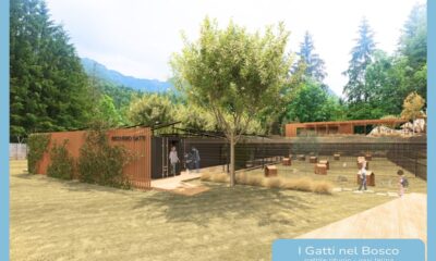 bosco clusone