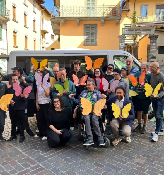 farfalle colorate clusone