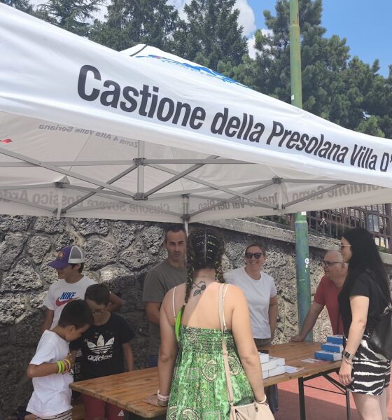 avis castione