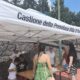 avis castione