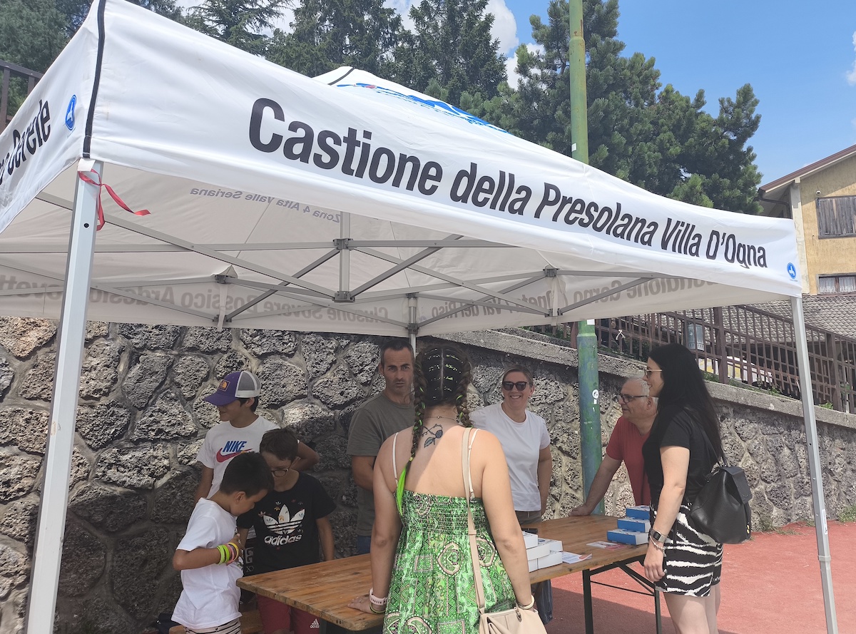 avis castione