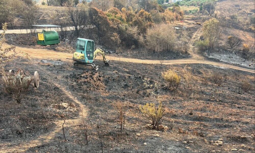 incendi maremma la rocca delle pigne