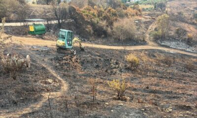 incendi maremma la rocca delle pigne