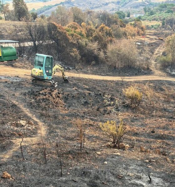 incendi maremma la rocca delle pigne