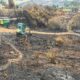 incendi maremma la rocca delle pigne