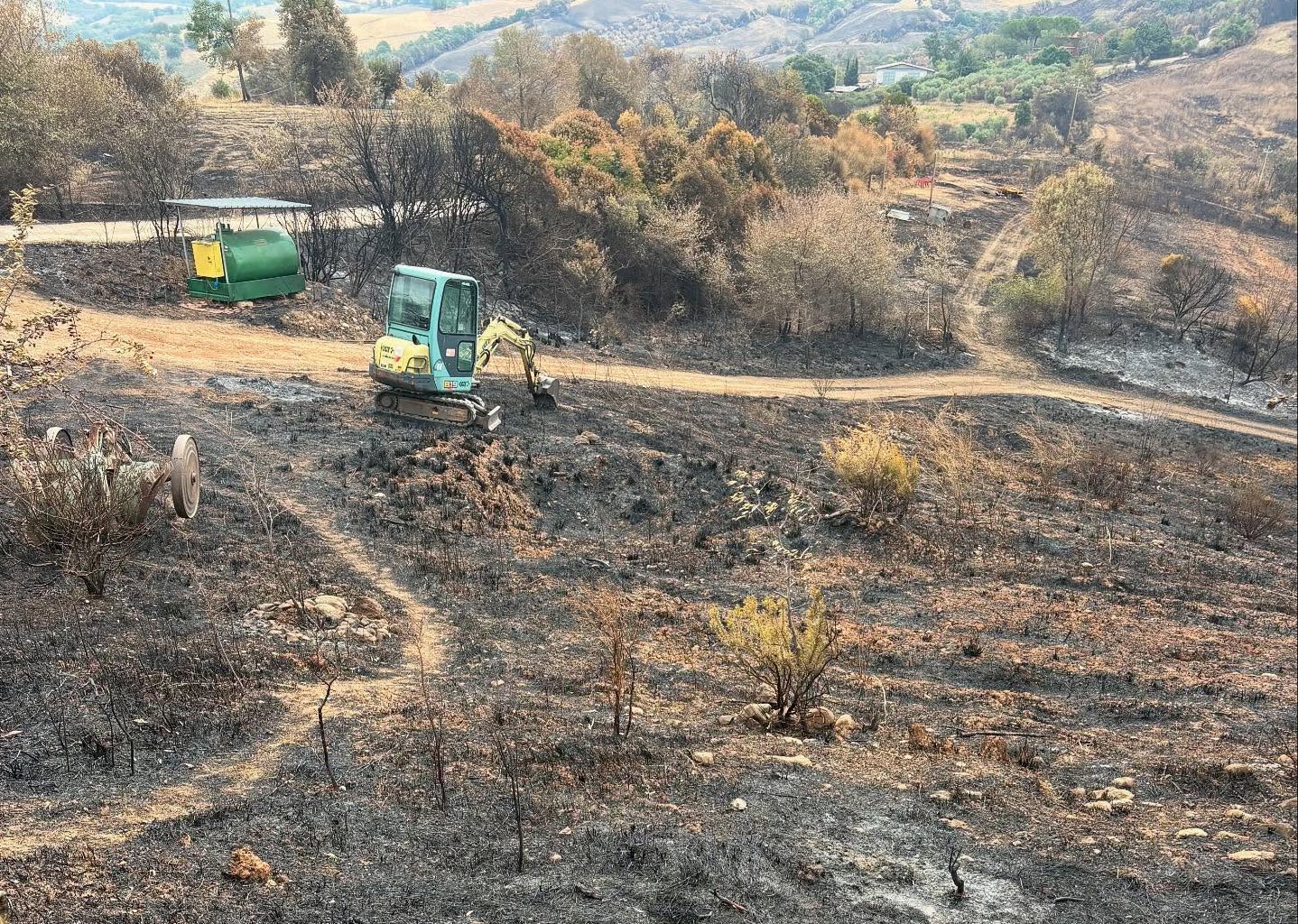 incendi maremma la rocca delle pigne