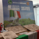 adunata sezionale alpini selvino
