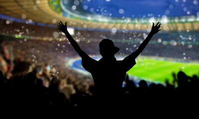 Tifoso allo stadio (© Depositphotos)