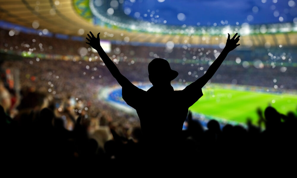 Tifoso allo stadio (© Depositphotos)