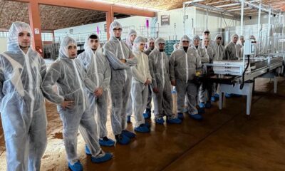 Superfarm Pezzoli Green